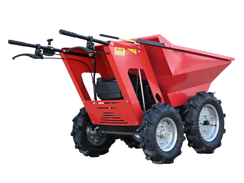 250 Gasoline mini du